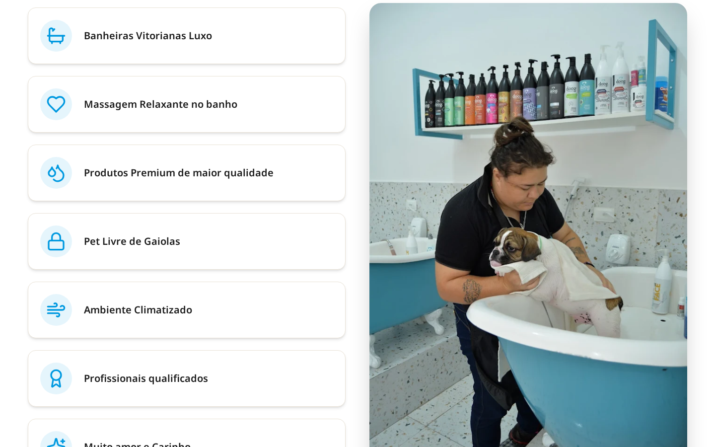 Summer Pet — Site de assinatura pet